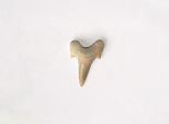 Зуб акулы палеогеновый Марокко кулон