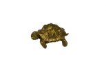 Фигурка из бронзы черепаха полая 40х20х10 мм 49260