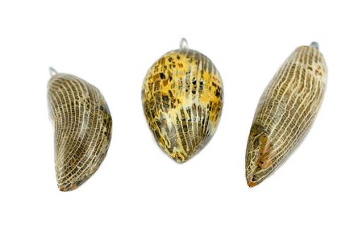 Кулон с Кораллом Hexagonaria sp., коричневый. Девонский период, поздняя эпоха (около 370 млн. лет). Марокко. Вес 10 грамм.