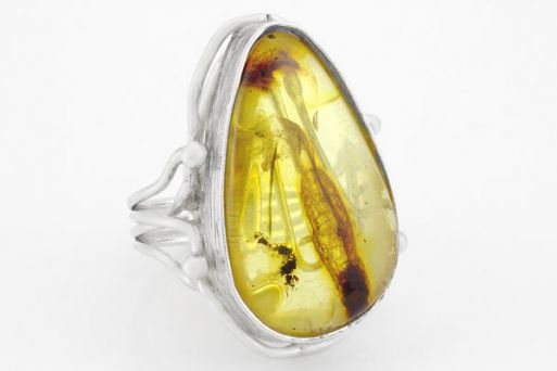 Серебряное кольцо с янтарём 62852 купить в магазине Самоцветы мира