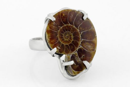 Мельхиоровое кольцо с аммонитом 63278 купить в магазине Самоцветы мира