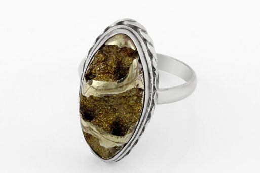 Мельхиоровое кольцо с аммонитом 64060 купить в магазине Самоцветы мира