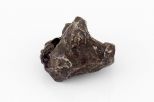 Метеорит Сихоте-Алинь 25х30 мм 35 гр 24889